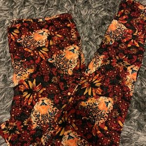 Lularoe TC leggings GUC worn 1x